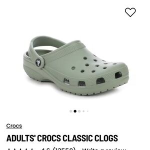 CROCS Classic Clogs in moss green- men’s size 8